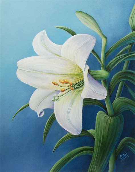 how to paint a lily|paintings of white lilies.